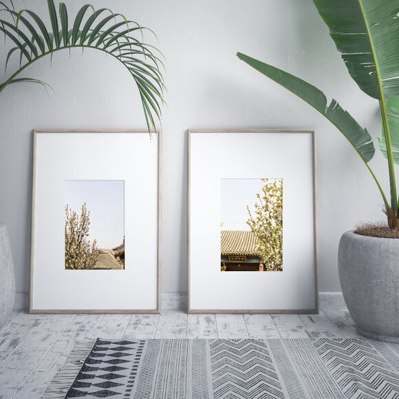 11 x 14 Set of 2 Apple Blossoms Photography